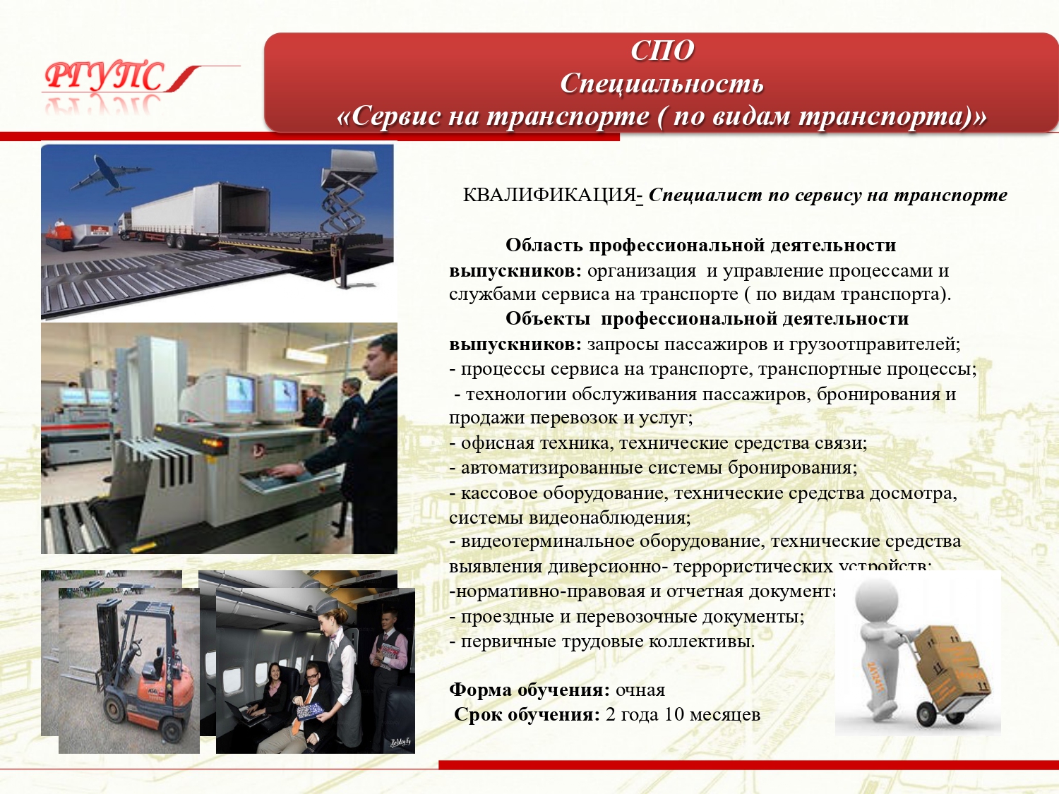 презентация СПО и ВО_page-0008